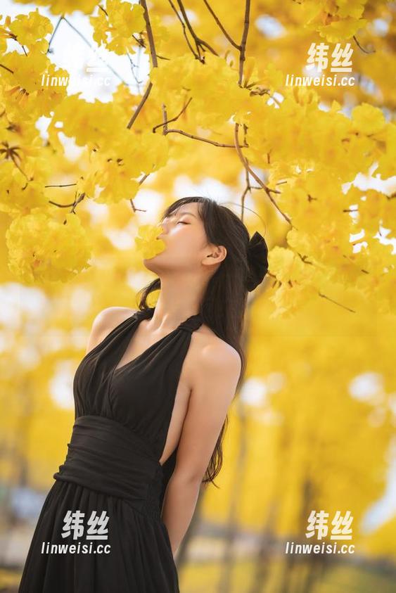 萌芽儿o0又来了，分享一些关于夏天的尾巴，不问来路